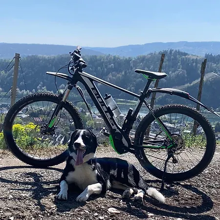 Mosella ホテル 3*