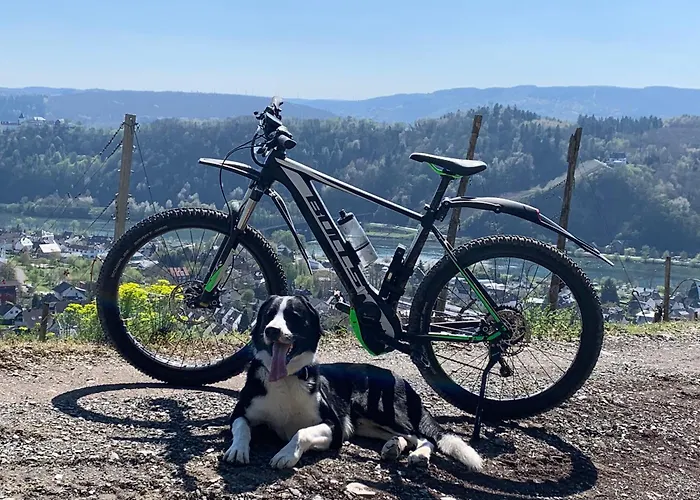 Mosella ホテル 3*